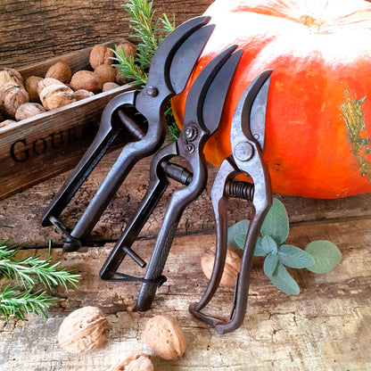 THREE Antique Grape Vine Pruning Shears from Tiggy & Pip - Just €135! Shop now at Tiggy and Pip