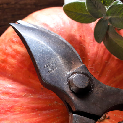 THREE Antique Grape Vine Pruning Shears from Tiggy & Pip - Just €135! Shop now at Tiggy and Pip