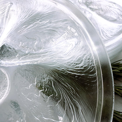 SIX Arcoroc Glass Oyster Plates from Tiggy & Pip - Just €168! Shop now at Tiggy and Pip