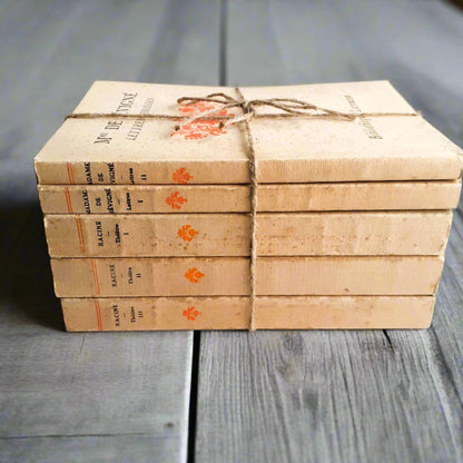 Book Stack of 17th Century French Literature from Tiggy & Pip - Just €120! Shop now at Tiggy and Pip