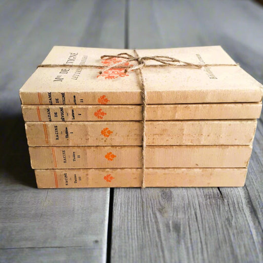 Book Stack of 17th Century French Literature from Tiggy & Pip - Just €120! Shop now at Tiggy and Pip