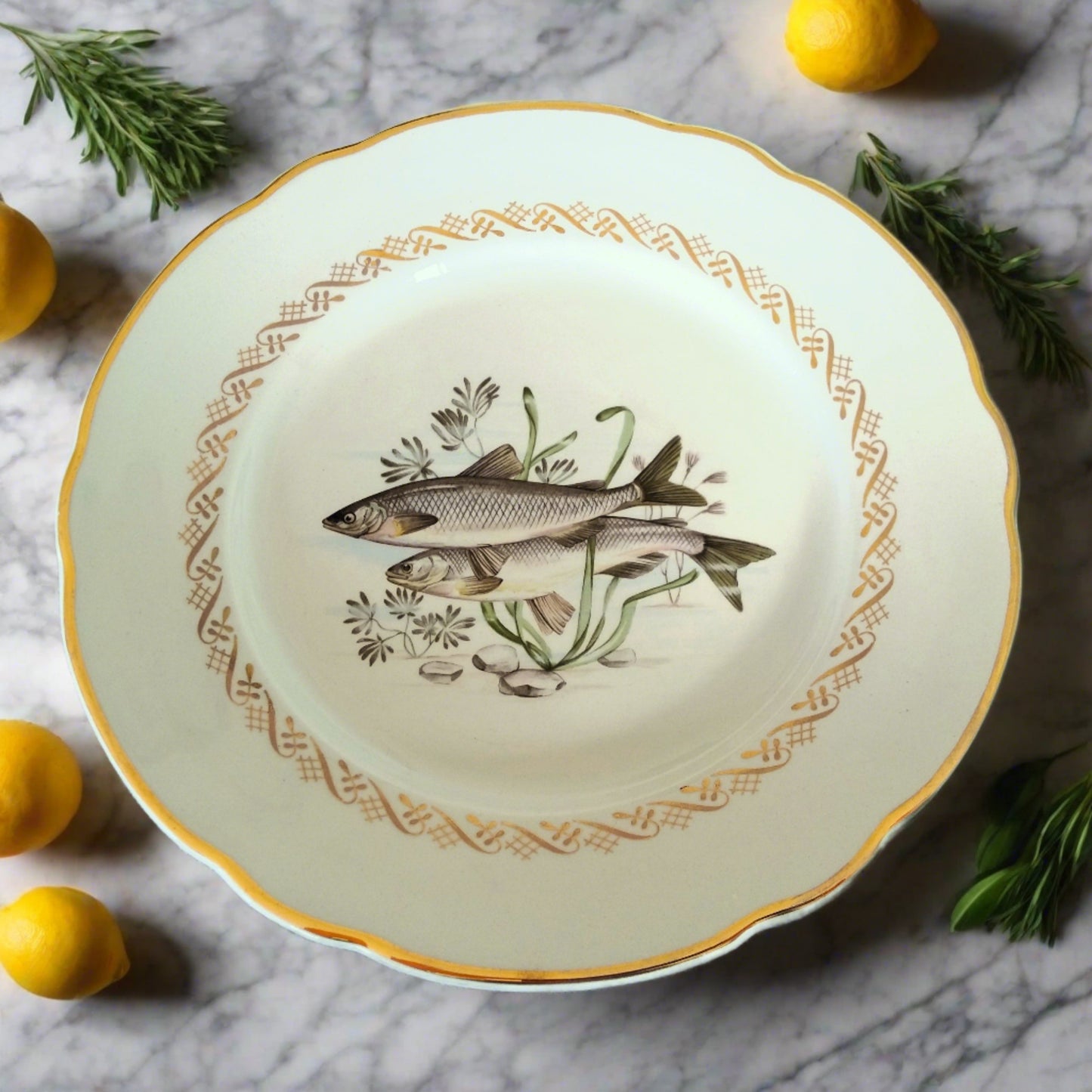 Set of Six 1950s Fish Plates from Tiggy & Pip - Just €156! Shop now at Tiggy and Pip