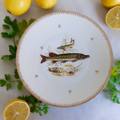 Eight Mix and Match Vintage Fish Plates from Tiggy and Pip - Just €199! Shop now at Tiggy and Pip