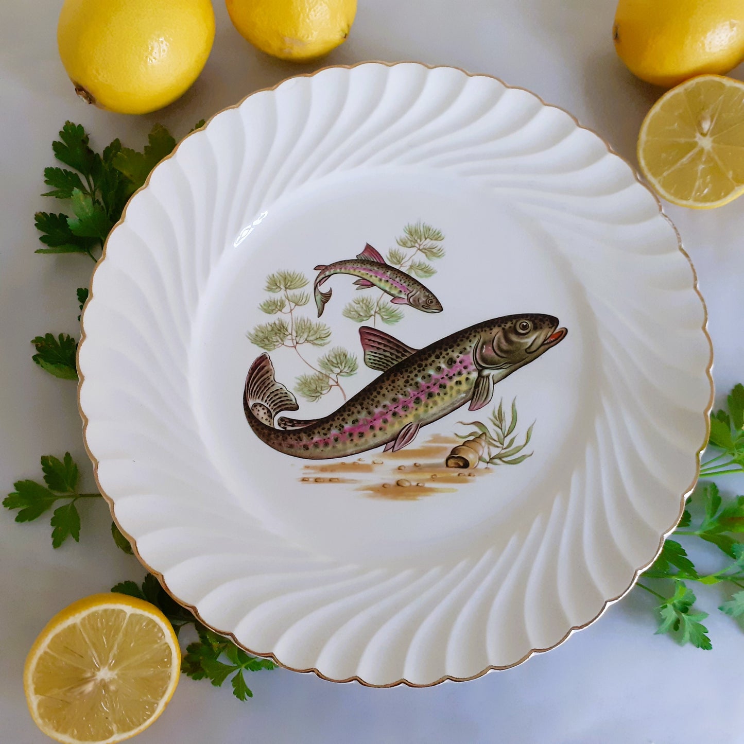 Eight Mix and Match Vintage Fish Plates from Tiggy and Pip - Just €199! Shop now at Tiggy and Pip