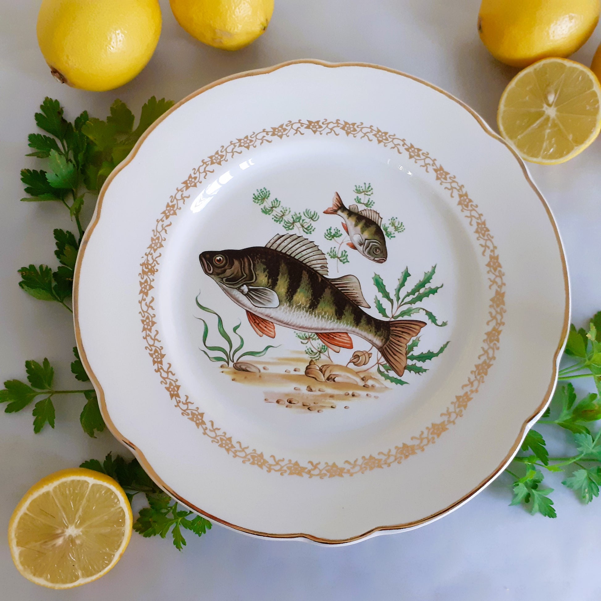 Eight Mix and Match Vintage Fish Plates from Tiggy and Pip - Just €199! Shop now at Tiggy and Pip