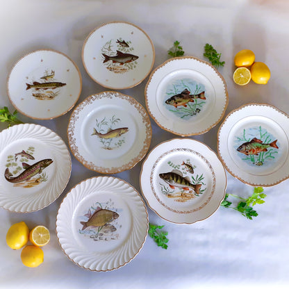 Eight Mix and Match Vintage Fish Plates from Tiggy and Pip - Just €199! Shop now at Tiggy and Pip