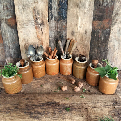 8 Rustic Stoneware Mustard Crocks. from Tiggy & Pip - Just €192! Shop now at Tiggy and Pip