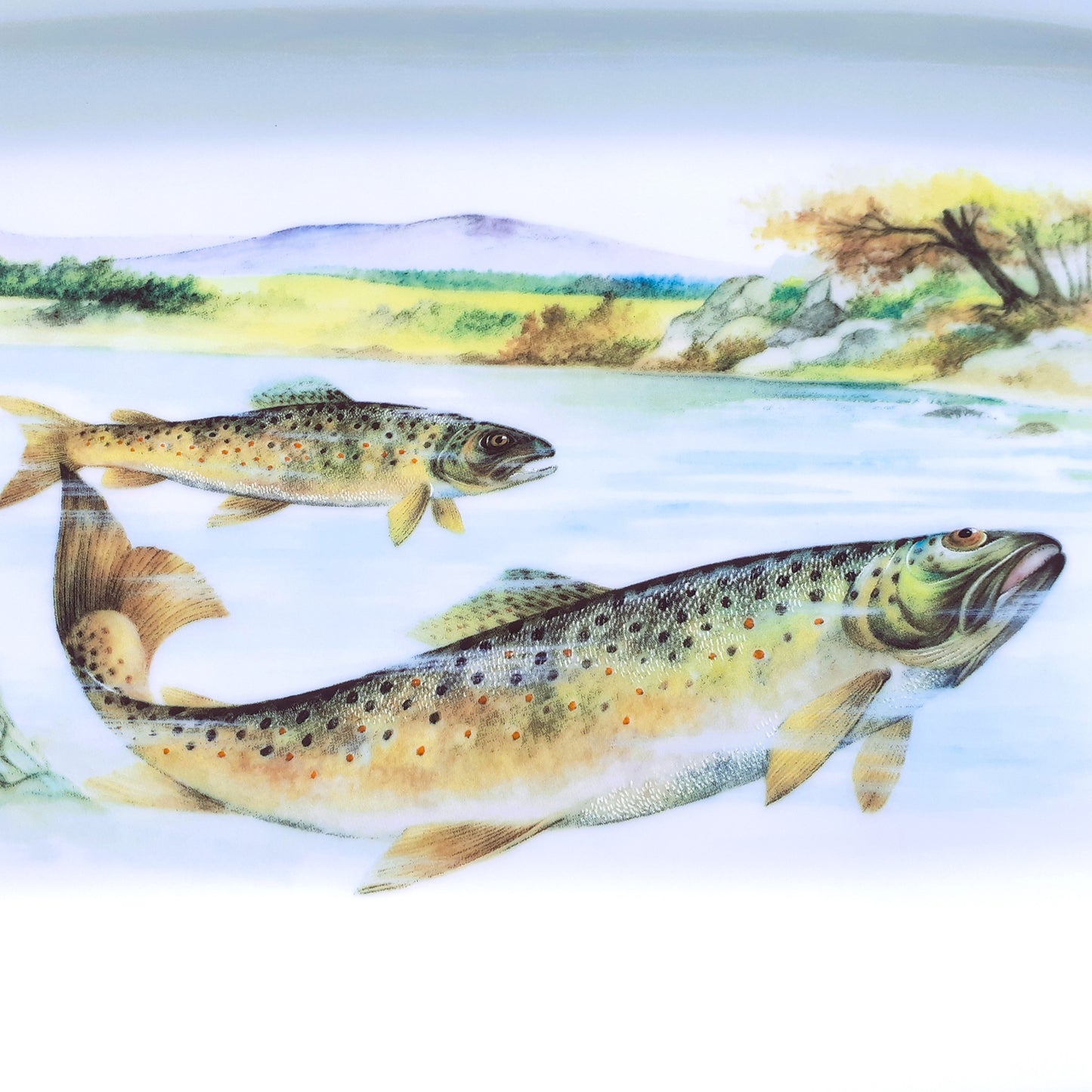 Extra Long Limoges Porcelain Trout Platter. from Tiggy & Pip - Just €175! Shop now at Tiggy and Pip