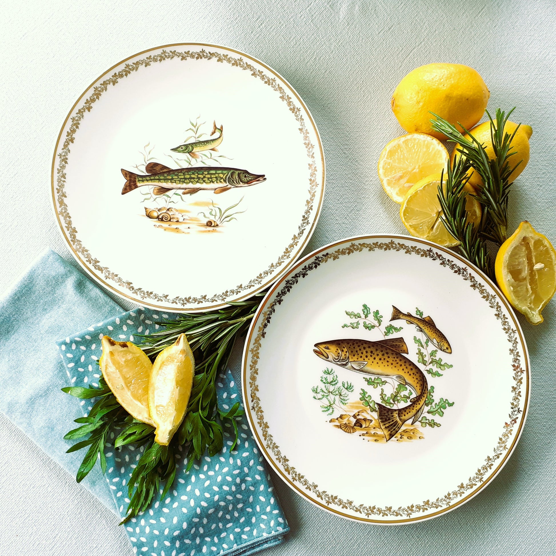 EIGHT Limoges Fish Plates and Platter from Tiggy & Pip - Just €225! Shop now at Tiggy and Pip