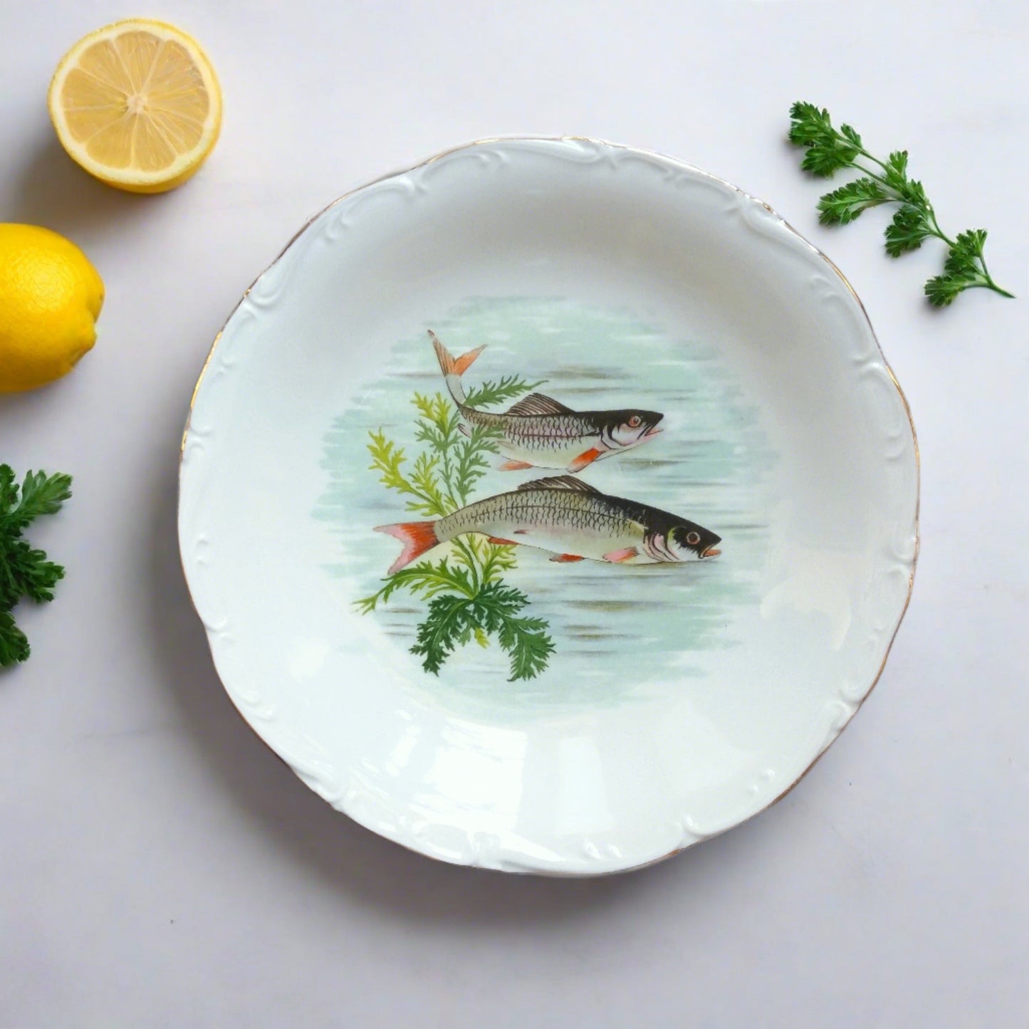 Eight Mix and Match Vintage Fish Plates from Tiggy and Pip - Just €199! Shop now at Tiggy and Pip