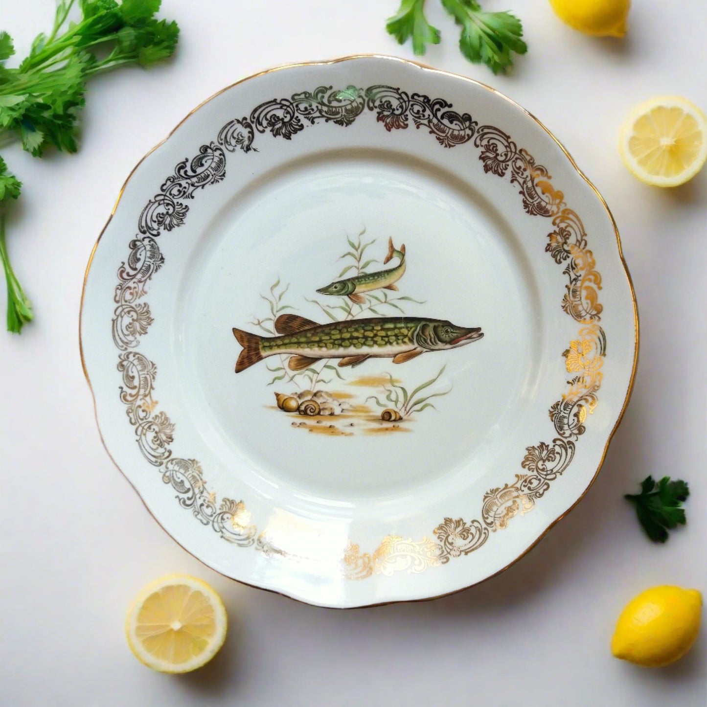 Eight Mix and Match Vintage Fish Plates from Tiggy and Pip - Just €199! Shop now at Tiggy and Pip