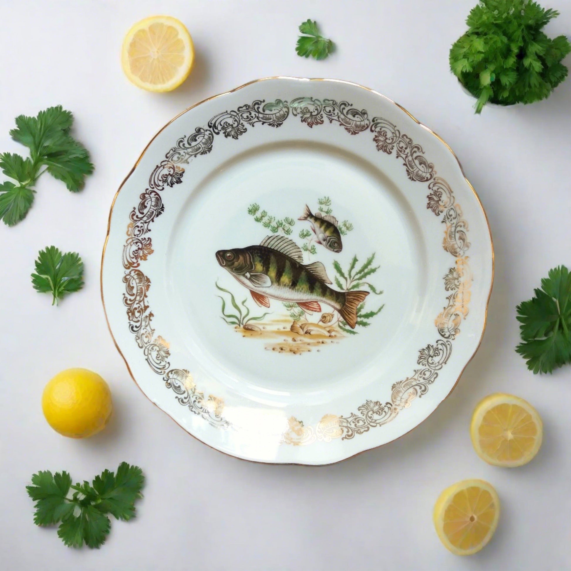 Eight Mix and Match Vintage Fish Plates from Tiggy and Pip - Just €199! Shop now at Tiggy and Pip