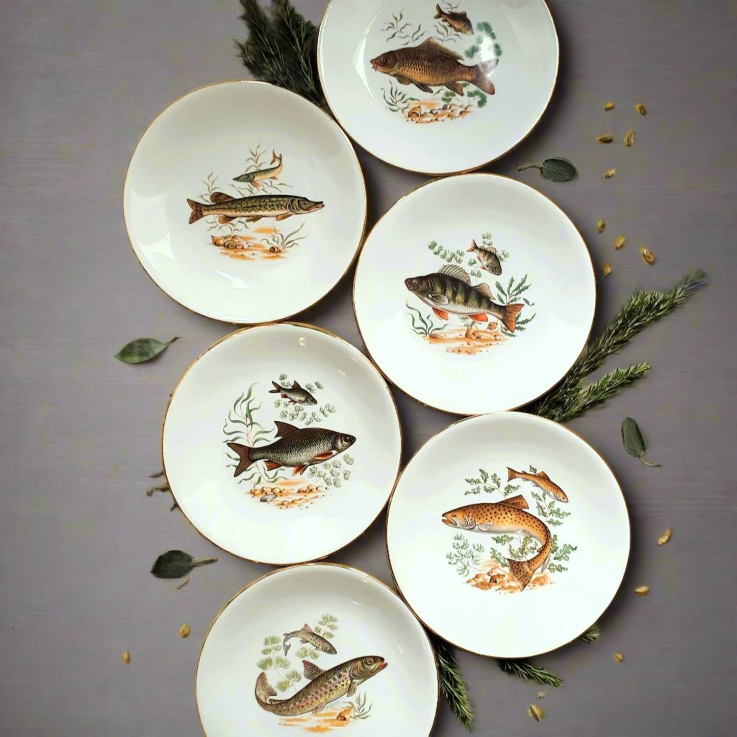 Set of six fish plates by GIEN, France from Tiggy and Pip - Just €168! Shop now at Tiggy and Pip