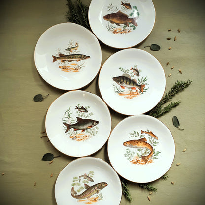 Set of six fish plates by GIEN, France from Tiggy and Pip - Just €168! Shop now at Tiggy and Pip