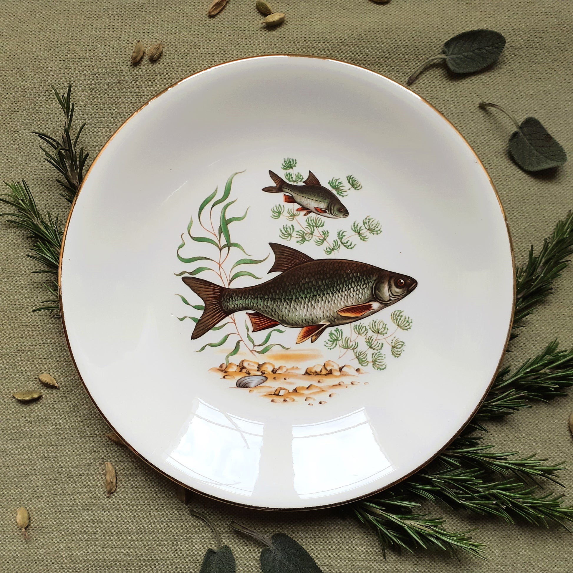 Set of six fish plates by GIEN, France from Tiggy and Pip - Just €168! Shop now at Tiggy and Pip