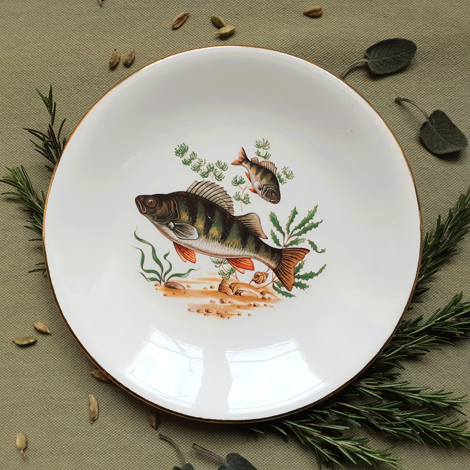 Set of six fish plates by GIEN, France from Tiggy and Pip - Just €168! Shop now at Tiggy and Pip