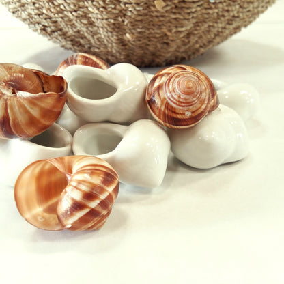 Set of 12 Ceramic Escargot Pots from Tiggy & Pip - Just €72! Shop now at Tiggy and Pip