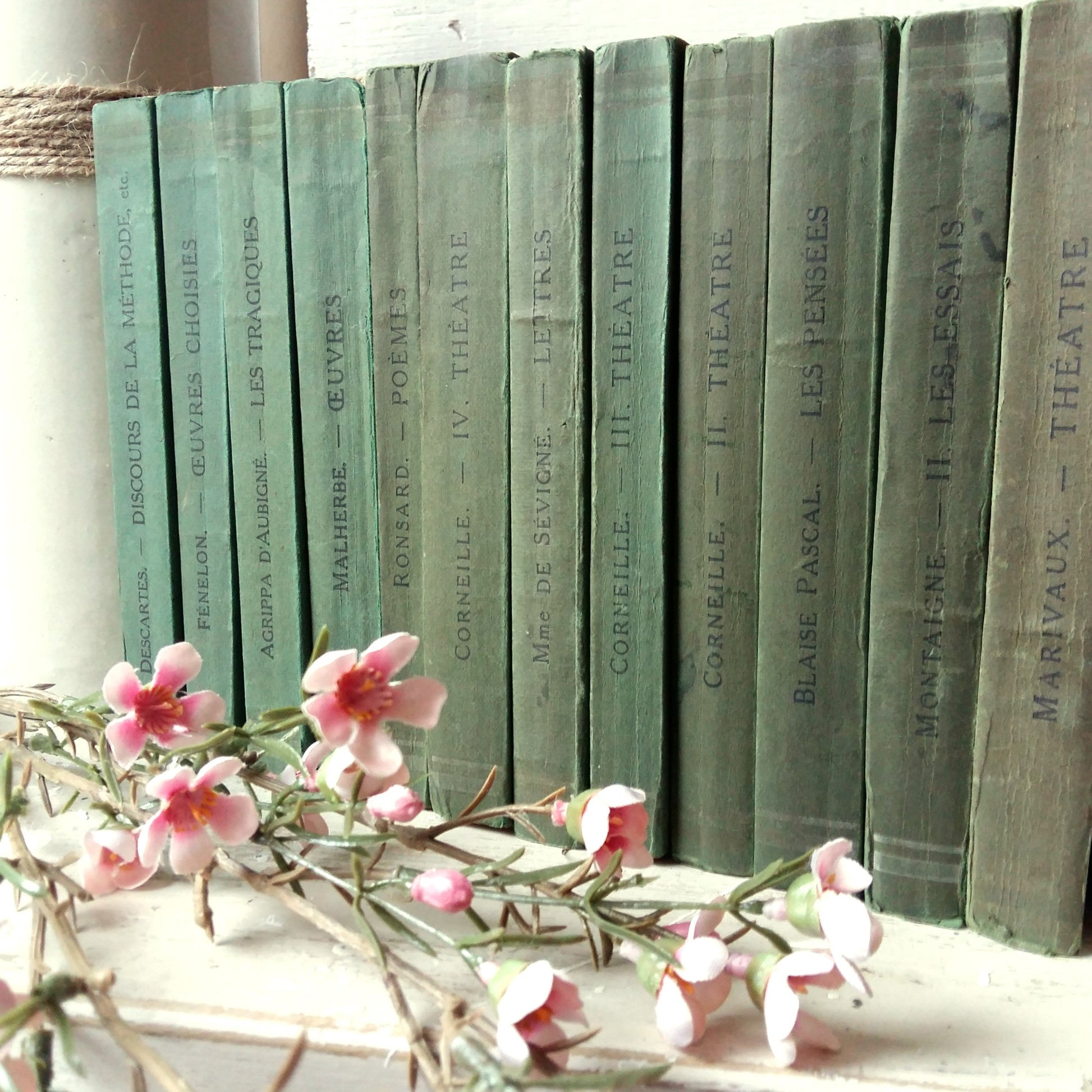 Green Book Stack of Classic French Literature from Tiggy & Pip - Just €180! Shop now at Tiggy and Pip