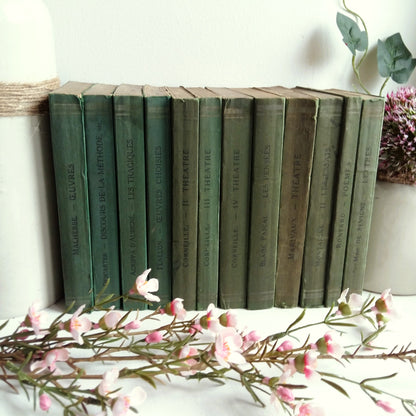 Green Book Stack of Classic French Literature from Tiggy & Pip - Just €180! Shop now at Tiggy and Pip