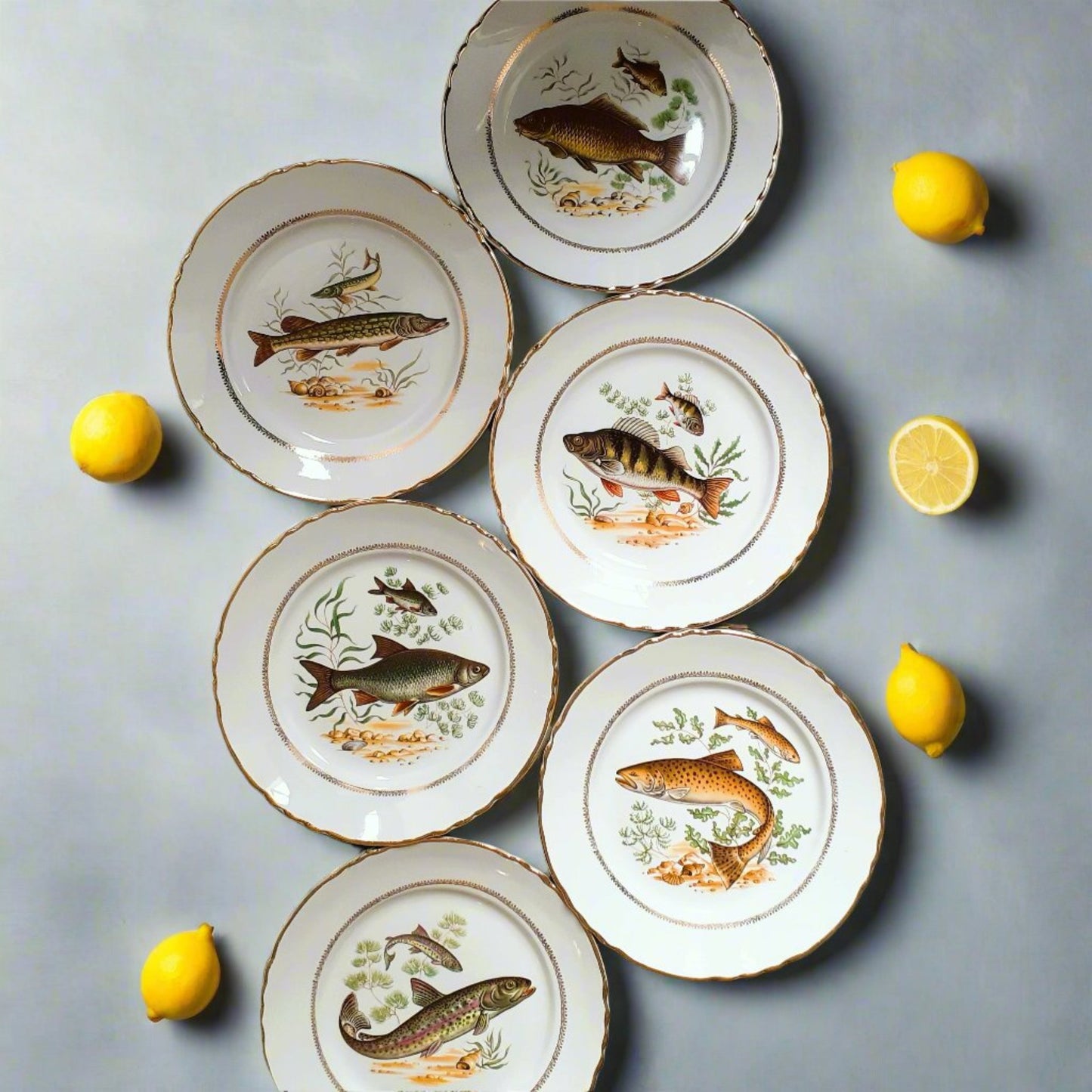 Six Vintage Fish Plates by Moulin des Loups from Tiggy and Pip - Just €168! Shop now at Tiggy and Pip