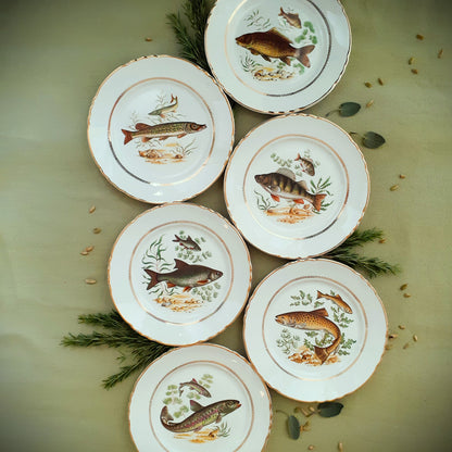 Six Vintage Fish Plates by Moulin des Loups from Tiggy and Pip - Just €168! Shop now at Tiggy and Pip