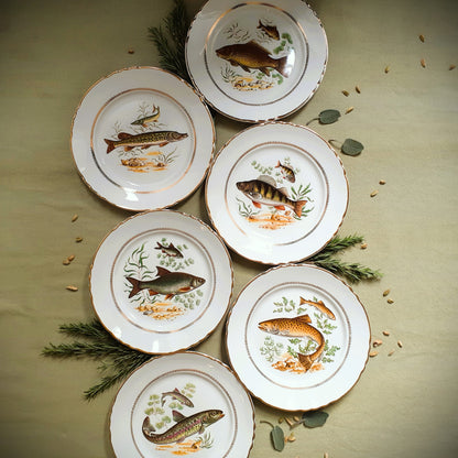 Six Vintage Fish Plates by Moulin des Loups from Tiggy and Pip - Just €168! Shop now at Tiggy and Pip