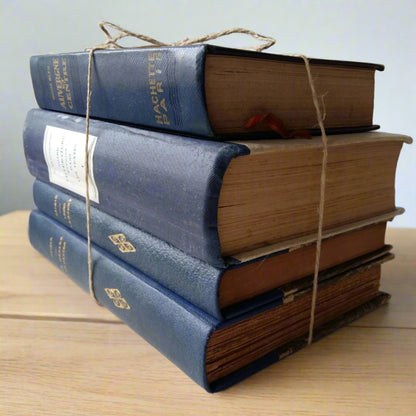 1900s French Blue Book Stack from Tiggy & Pip - Just €104! Shop now at Tiggy and Pip