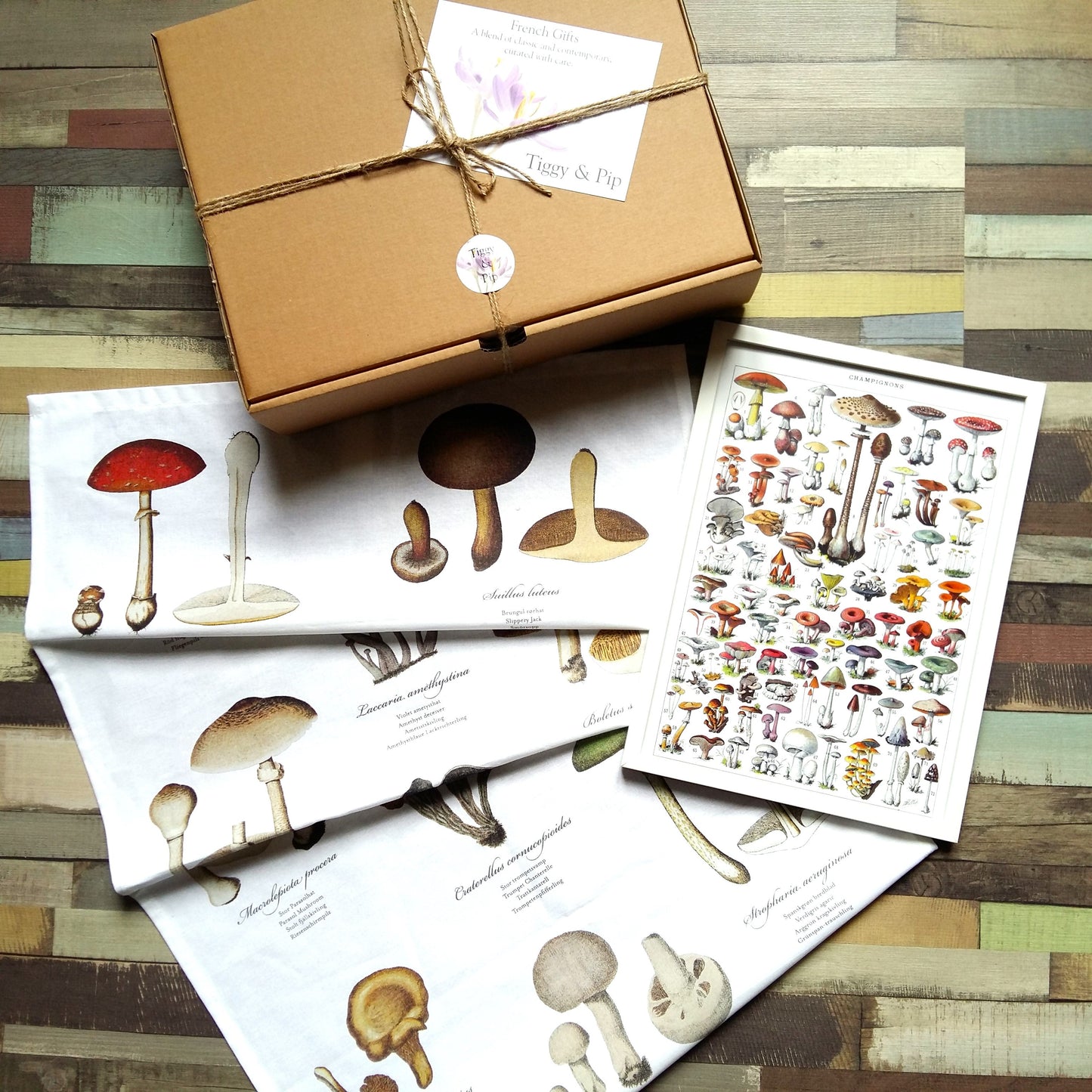 Mushroom Gift Box. Mushroom Lover Gift from Tiggy & Pip - Just €36! Shop now at Tiggy and Pip