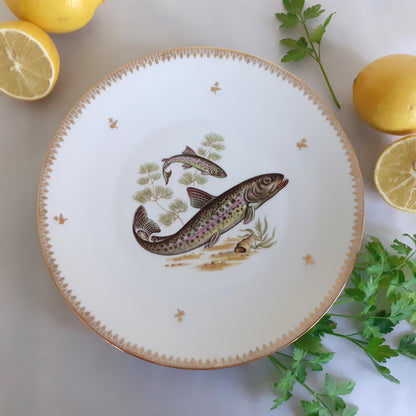 NINE Mix and Match Vintage Fish Plates from Tiggy and Pip - Just €216! Shop now at Tiggy and Pip