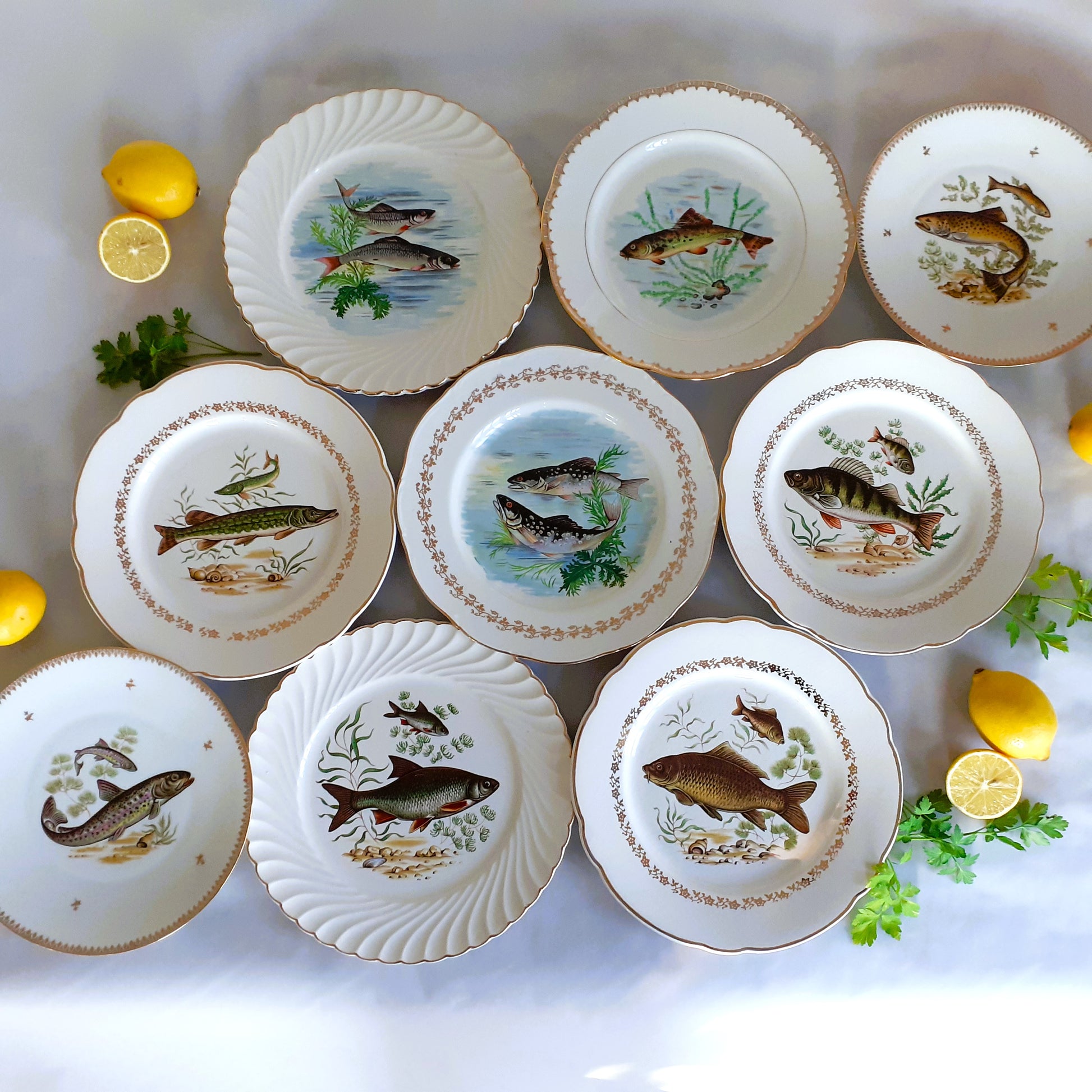 NINE Mix and Match Vintage Fish Plates from Tiggy and Pip - Just €216! Shop now at Tiggy and Pip