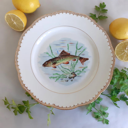 NINE Mix and Match Vintage Fish Plates from Tiggy and Pip - Just €216! Shop now at Tiggy and Pip