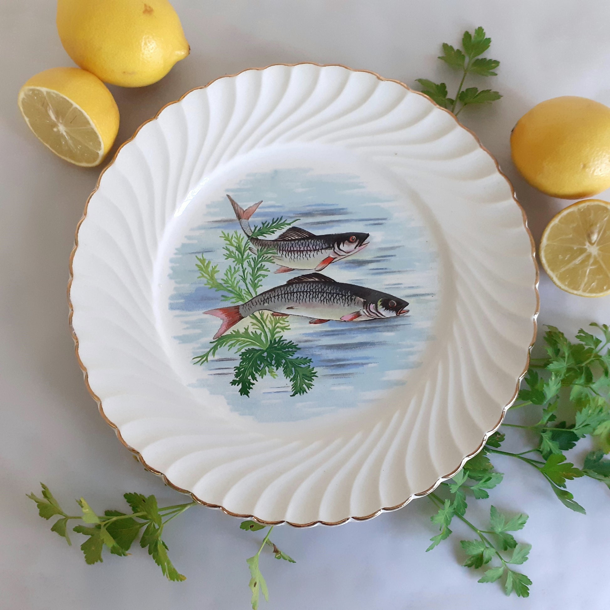 NINE Mix and Match Vintage Fish Plates from Tiggy and Pip - Just €216! Shop now at Tiggy and Pip