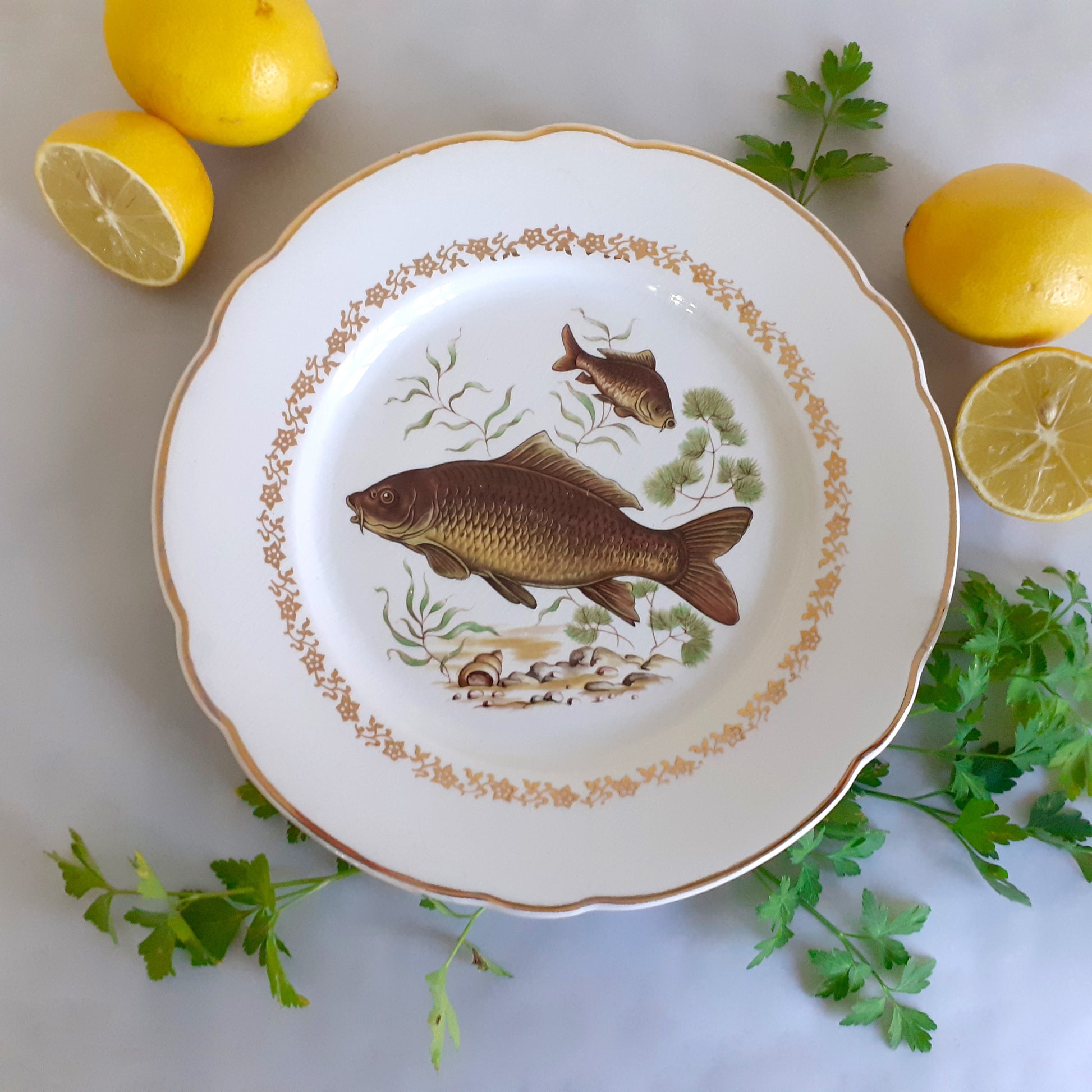 NINE Mix and Match Vintage Fish Plates from Tiggy and Pip - Just €216! Shop now at Tiggy and Pip