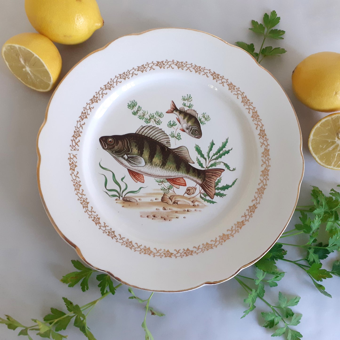 NINE Mix and Match Vintage Fish Plates from Tiggy and Pip - Just €216! Shop now at Tiggy and Pip