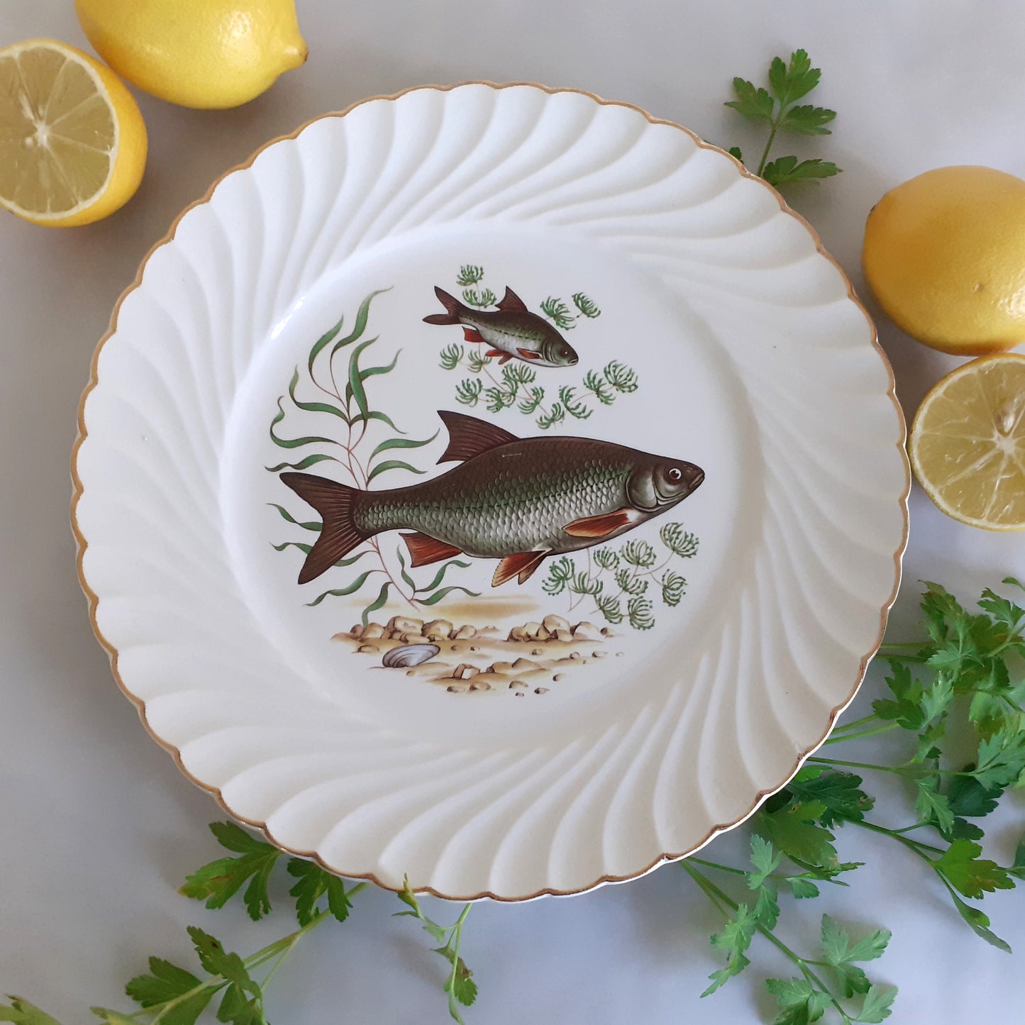 NINE Mix and Match Vintage Fish Plates from Tiggy and Pip - Just €216! Shop now at Tiggy and Pip