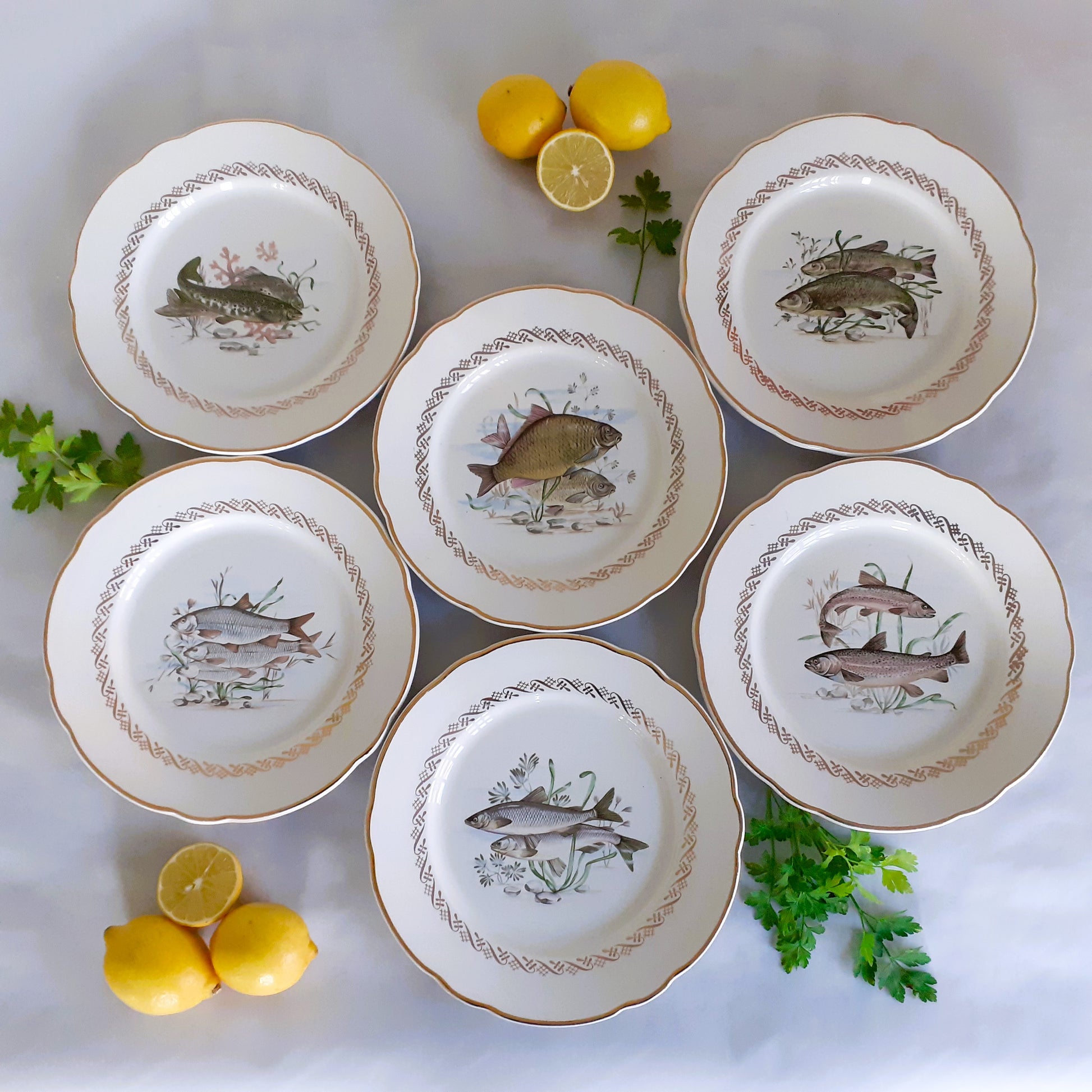 Set of Six 1950s Fish Plates from Tiggy & Pip - Just €156! Shop now at Tiggy and Pip