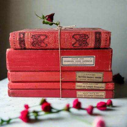 Antique French Red Book Stack from Tiggy & Pip - Just €120! Shop now at Tiggy and Pip