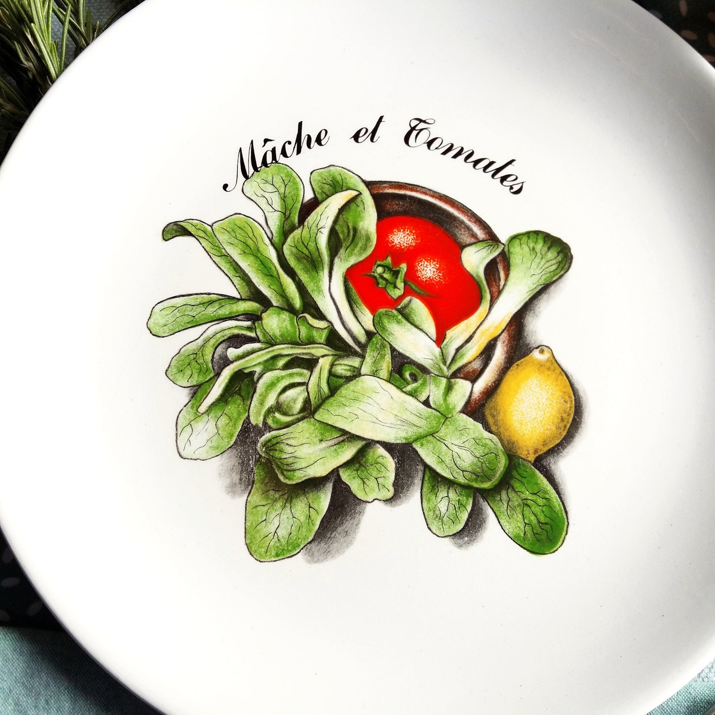 Six Mid Century Modern Salad Recipe Plates from Tiggy & Pip - Just €156! Shop now at Tiggy and Pip