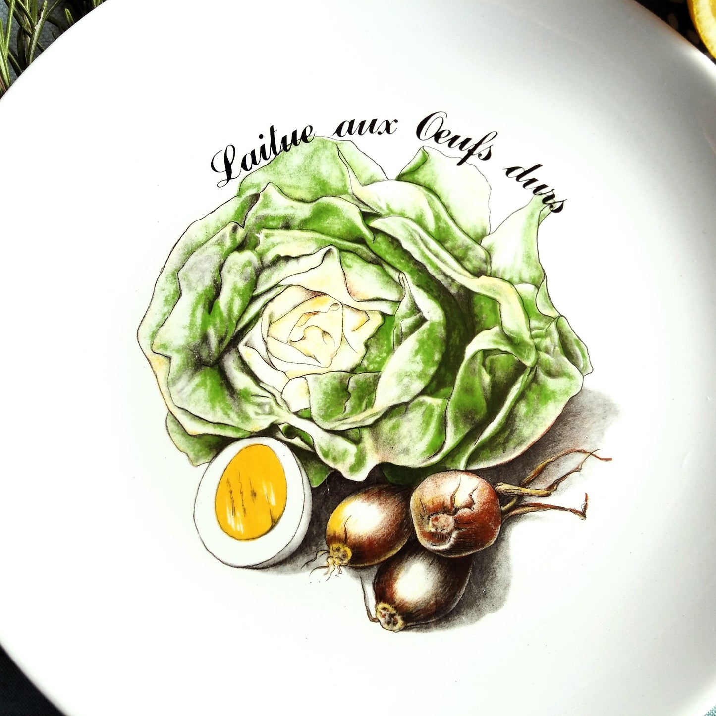 Six Mid Century Modern Salad Recipe Plates from Tiggy & Pip - Just €156! Shop now at Tiggy and Pip