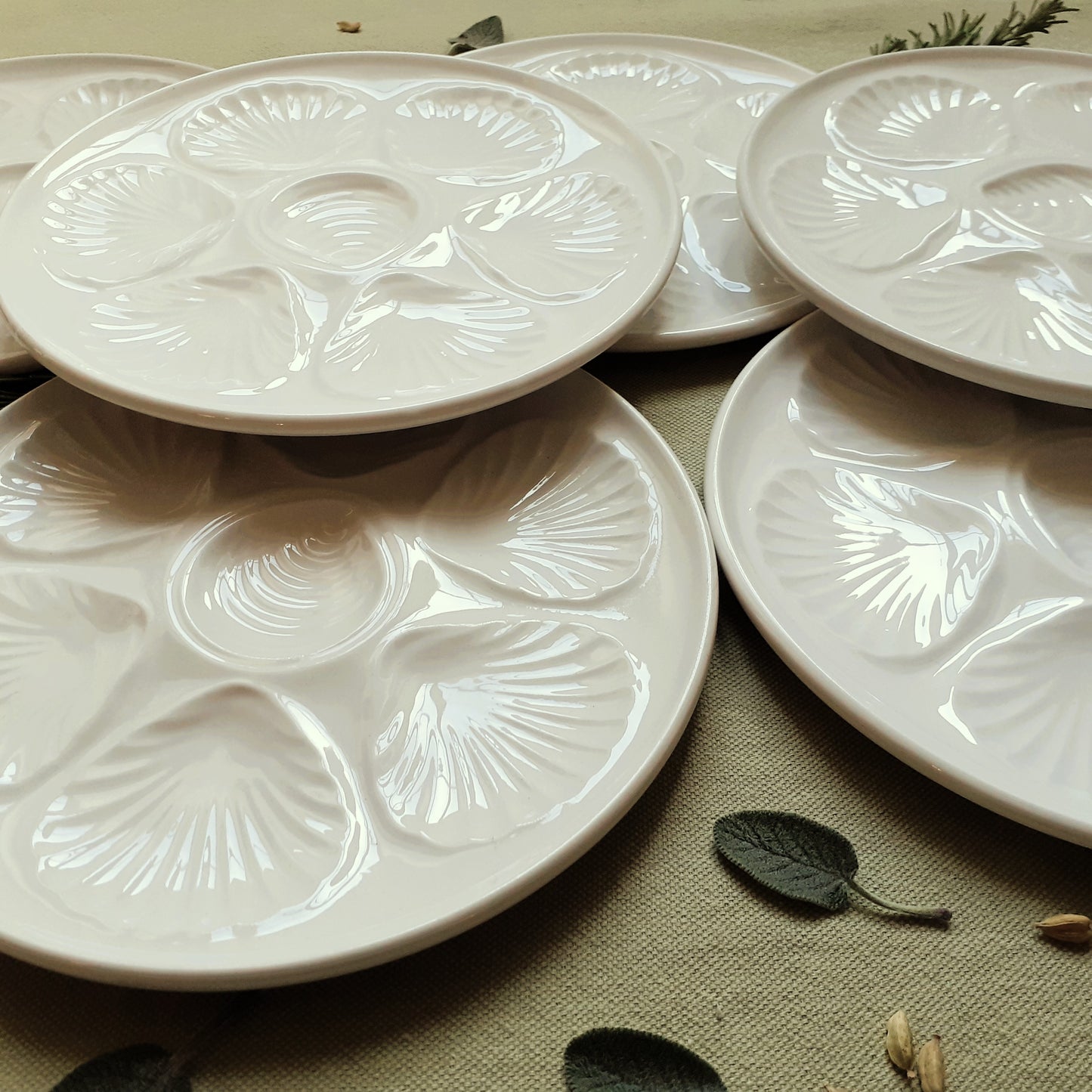 Six White Oyster/Scallop Plates from Tiggy & Pip - Just €168! Shop now at Tiggy and Pip