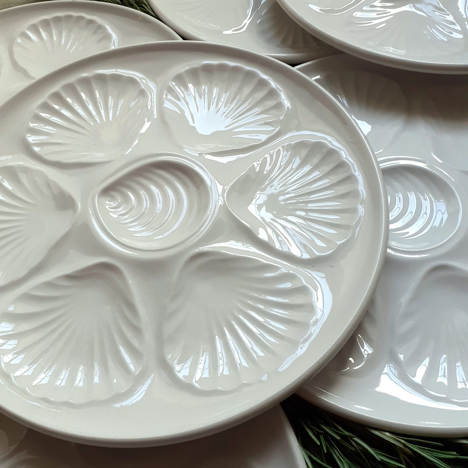 Six White Oyster/Scallop Plates from Tiggy & Pip - Just €168! Shop now at Tiggy and Pip