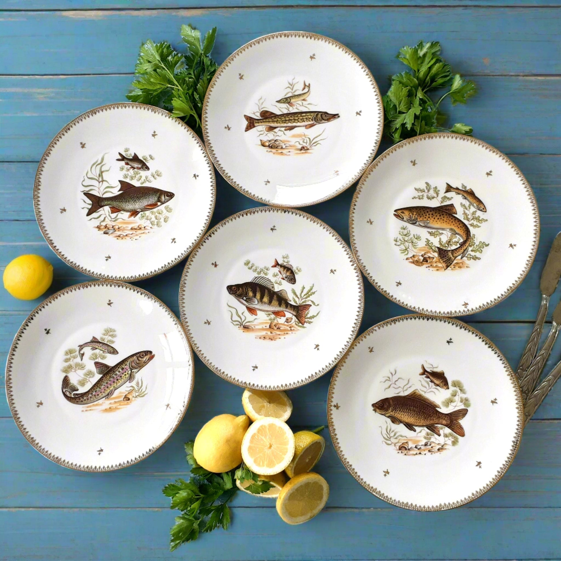 Six Limoges Porcelain Fish Plates from Tiggy & Pip - Just €156! Shop now at Tiggy and Pip