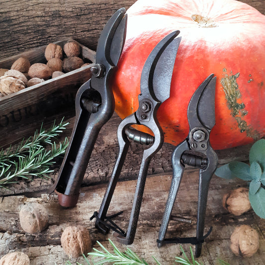 THREE Antique Grape Vine Pruning Secateurs from Tiggy & Pip - Just €98! Shop now at Tiggy and Pip