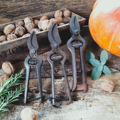 THREE Antique Grape Vine Pruning Secateurs from Tiggy & Pip - Just €98! Shop now at Tiggy and Pip