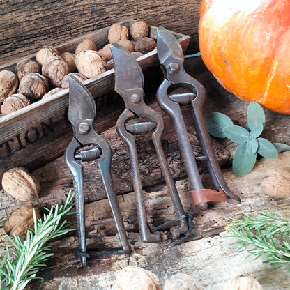 THREE Antique Grape Vine Pruning Secateurs from Tiggy & Pip - Just €98! Shop now at Tiggy and Pip