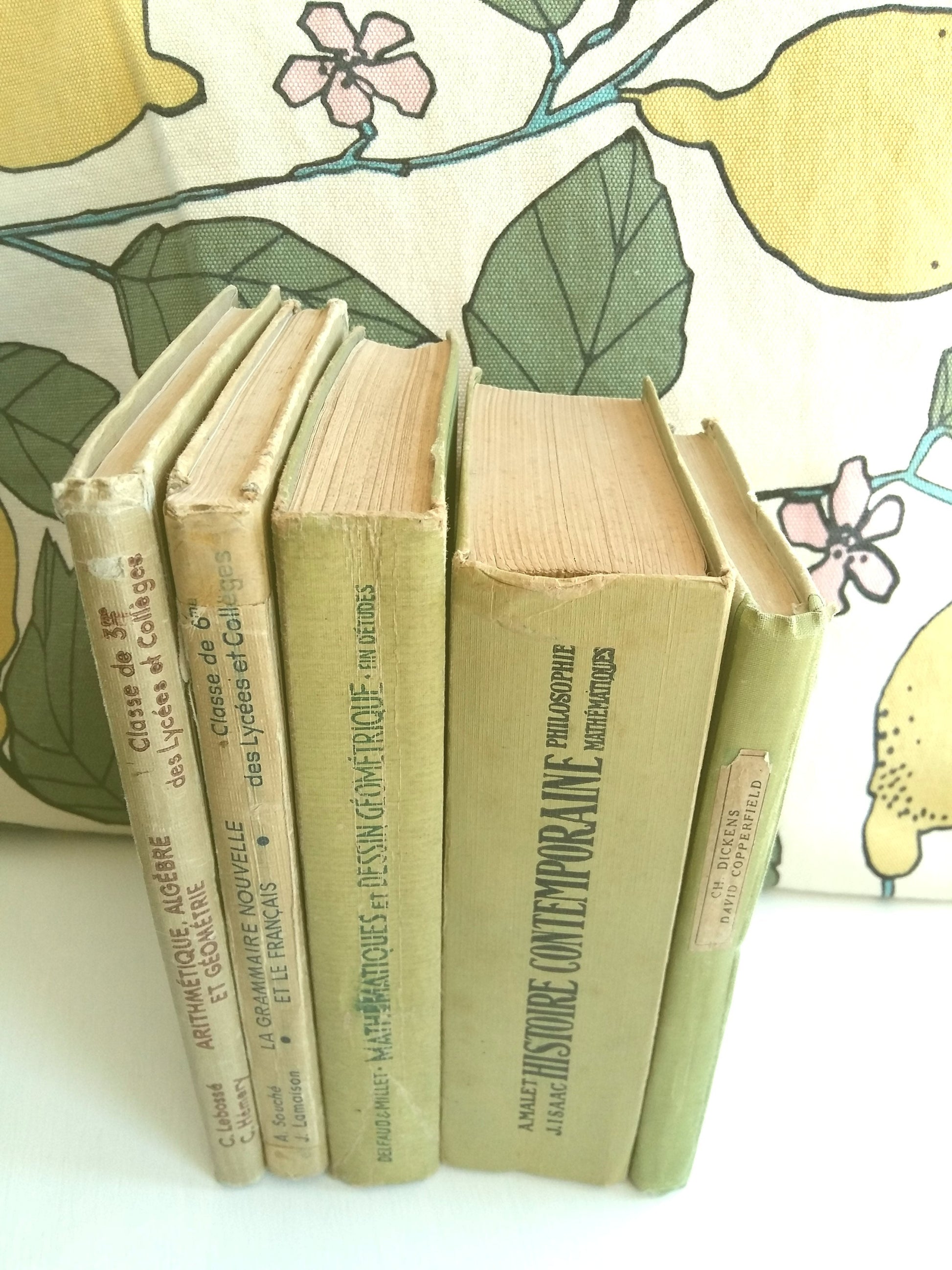 Lime Green Stack of French School Books. from Tiggy & Pip - Just €120! Shop now at Tiggy and Pip