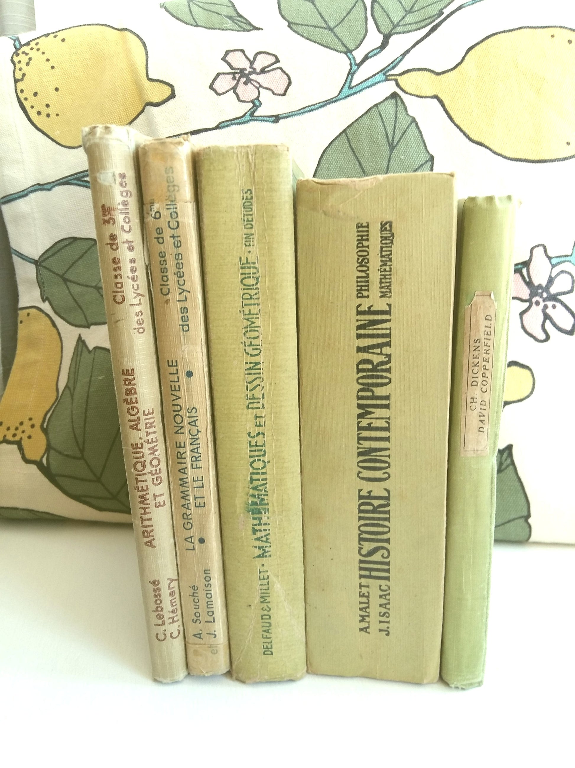 Lime Green Stack of French School Books. from Tiggy & Pip - Just €120! Shop now at Tiggy and Pip